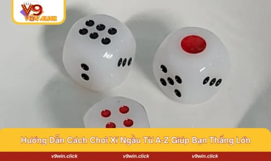 cách chơi xí ngầu