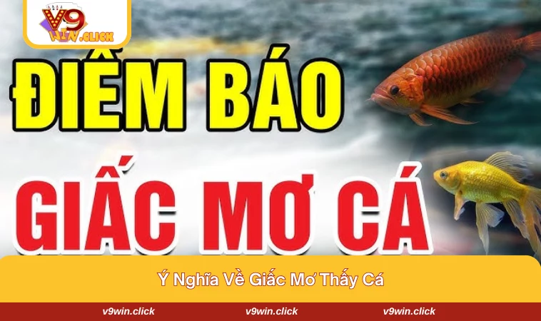 mo thay ca danh con gi 1 Giải mã ý nghĩa về giấc mơ thấy cá đánh con gì
