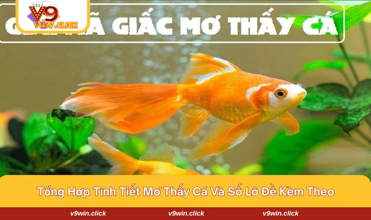 mo thay ca danh con gi 2 Những tình tiết chi tiết về mơ thấy cá đánh con gì