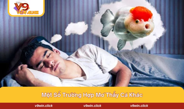 mo thay ca danh con gi 3 Một số gợi ý khác về giấc mơ thấy cá