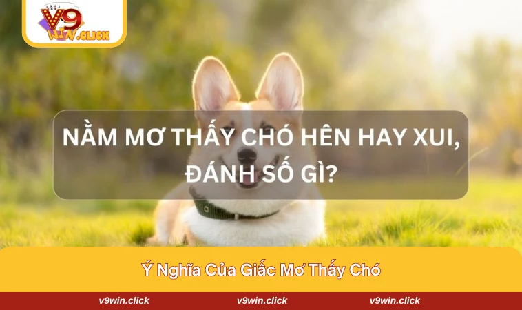 Tìm hiểu về ý nghĩa giấc mơ thấy chó