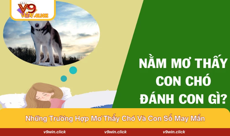  Nằm mộng thấy chó con và dấu hiệu cho sự vui vẻ và tích cực