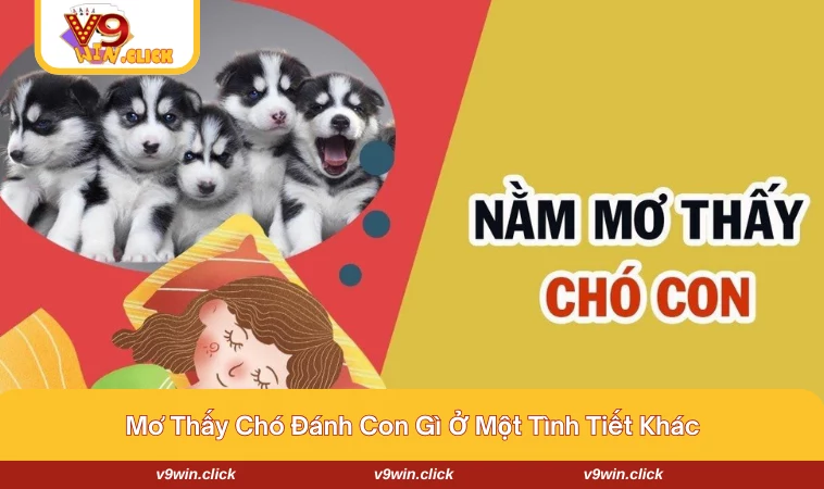Mơ thấy chó đánh con gì với các tình tiết khác