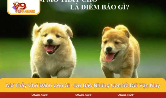 mơ thấy chó đánh con gì